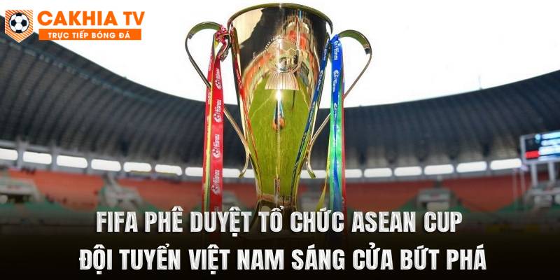 FIFA Phê Duyệt Tổ Chức ASEAN Cup, ĐT Việt Nam Sáng Cửa Bứt Phá